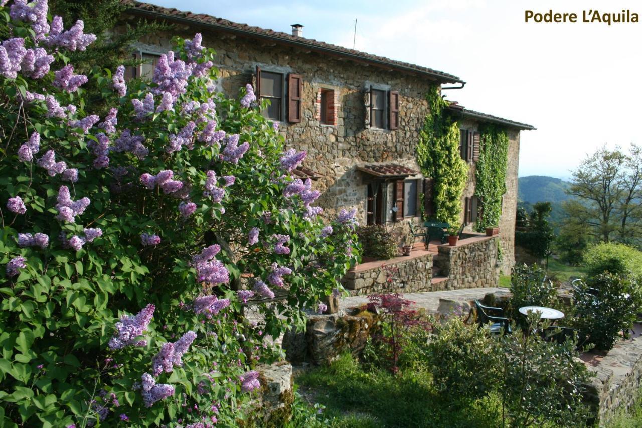 Podere L'Aquila Gaiole in Chianti Luaran gambar