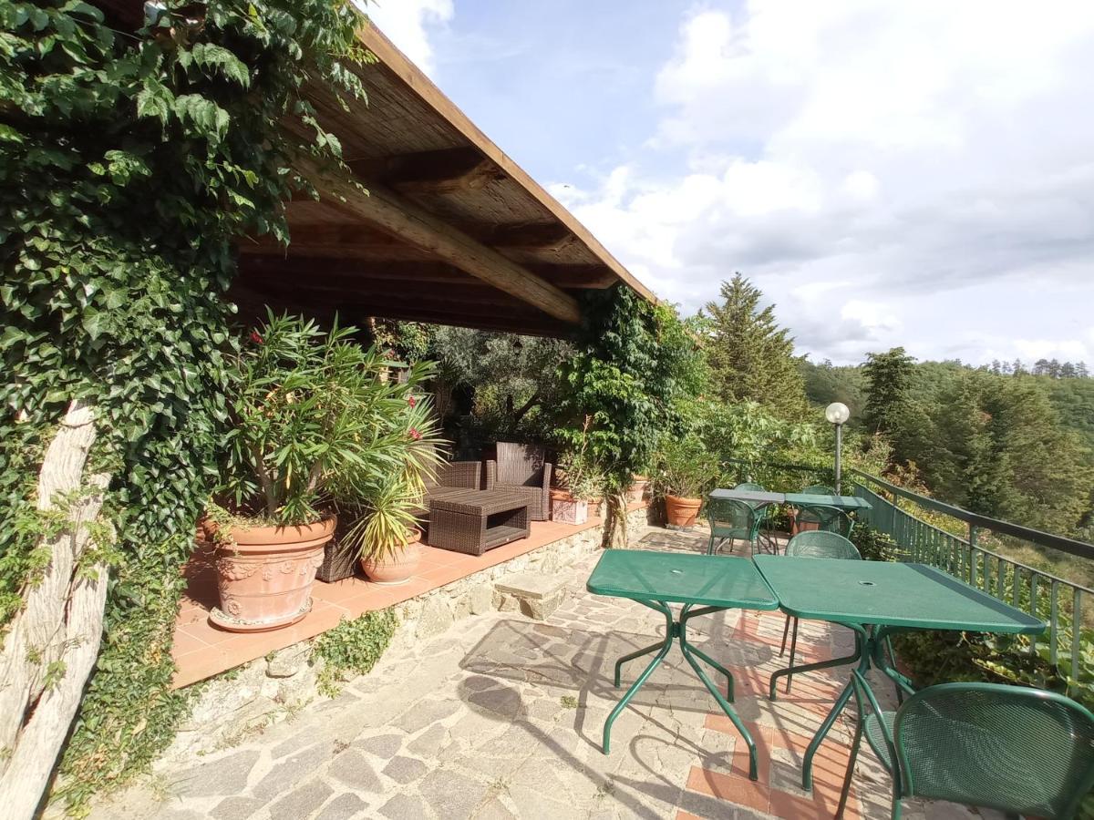 Podere L'Aquila Gaiole in Chianti Luaran gambar