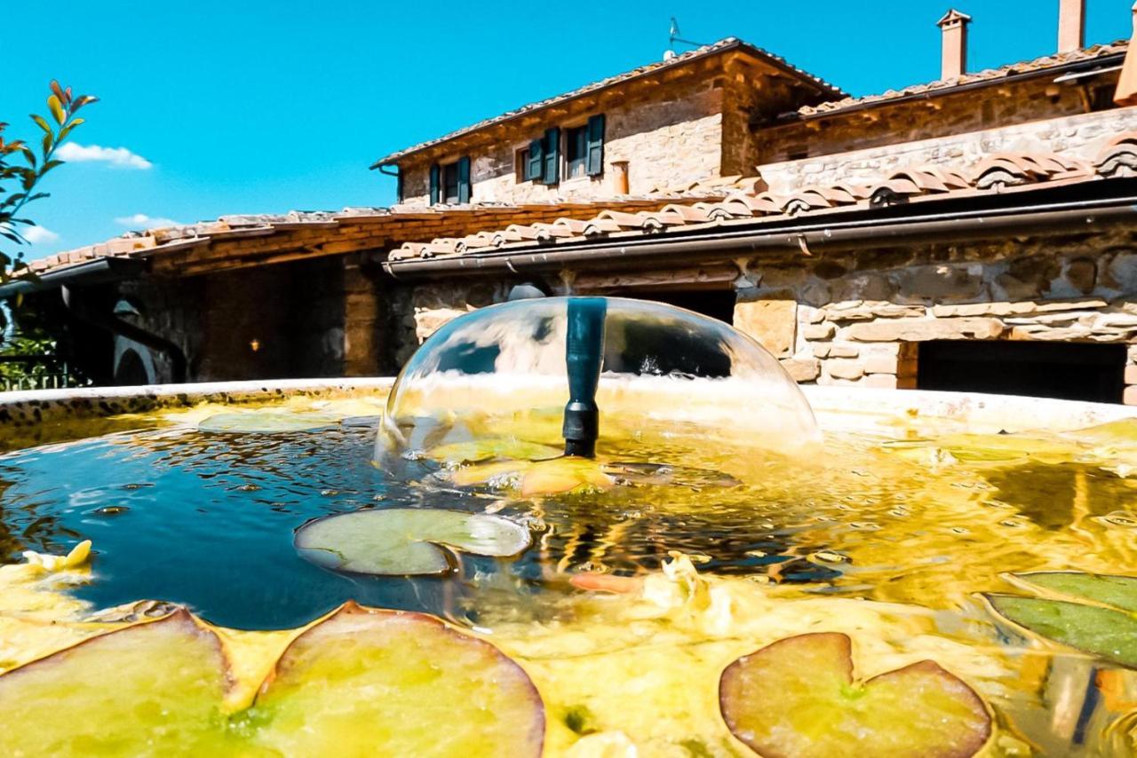 Podere L'Aquila Gaiole in Chianti Luaran gambar