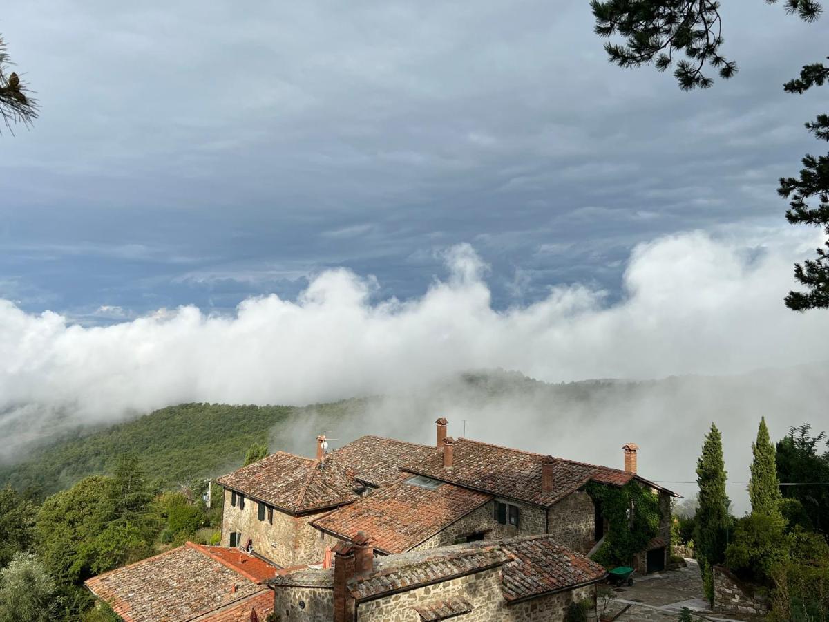 Podere L'Aquila Gaiole in Chianti Luaran gambar