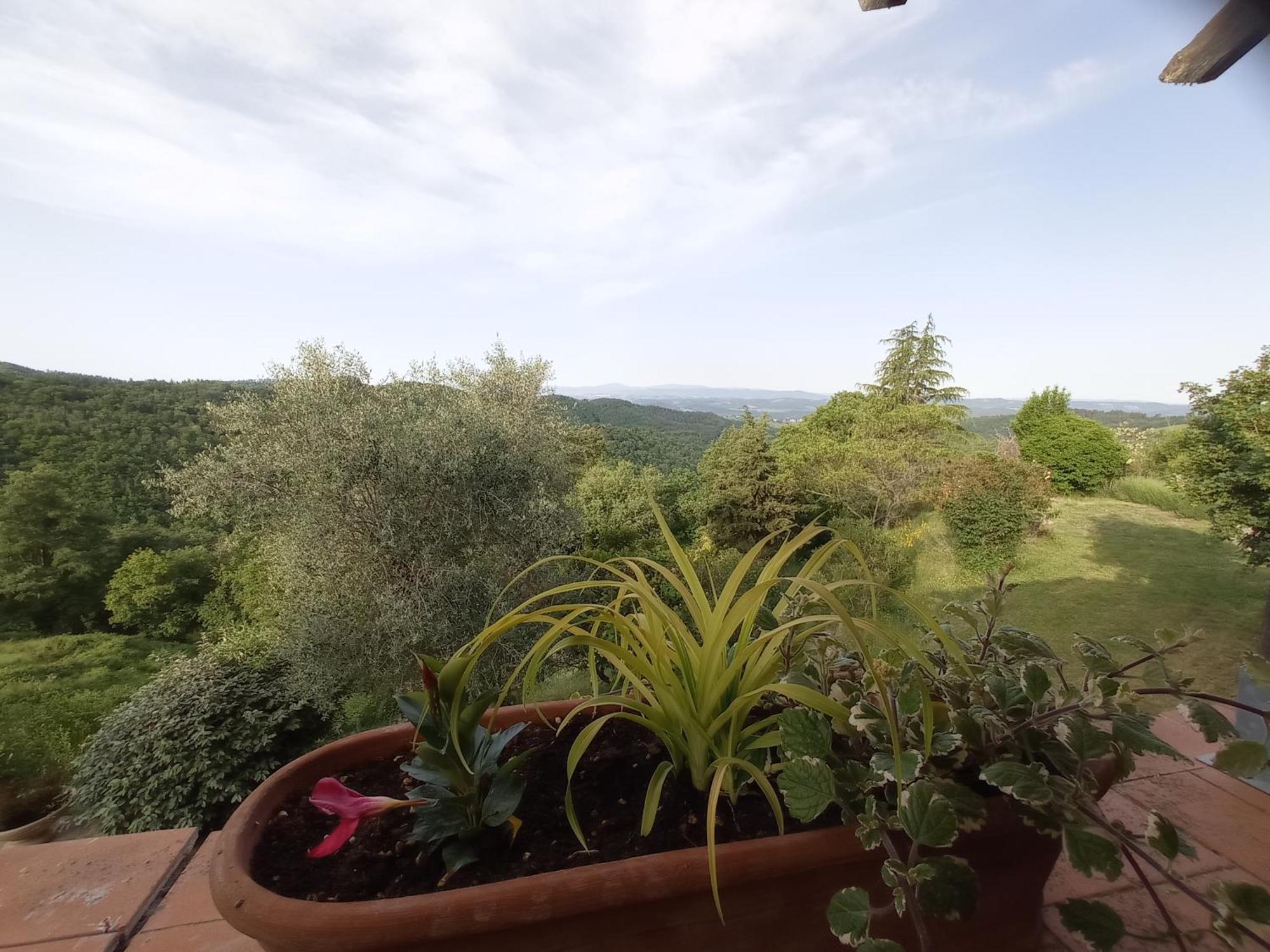 Podere L'Aquila Gaiole in Chianti Bilik gambar